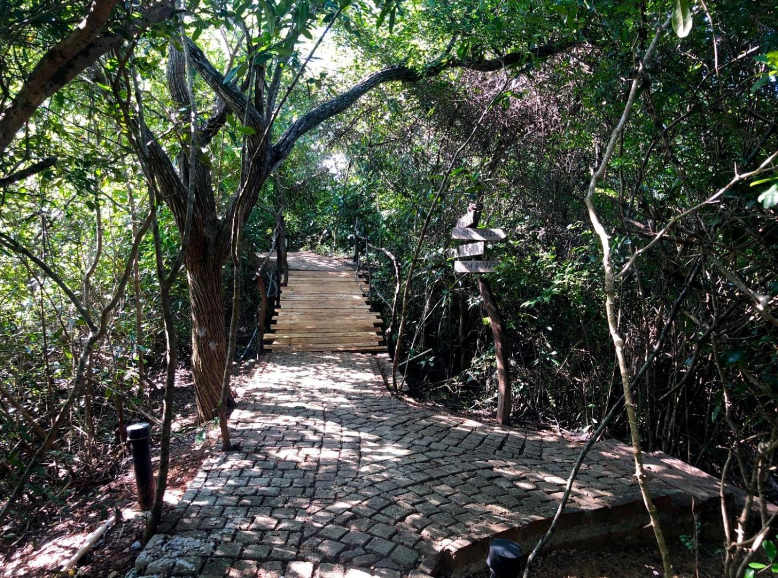 Cloud Nine Wilpattu By Aaradhya Hotel Wanathavilluwa Bagian luar foto